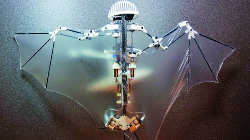 Murciélago robótico para exploración