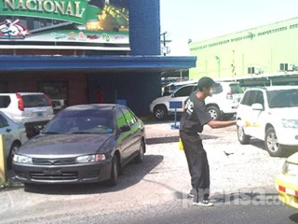 Los 'caza cochinos' en acción