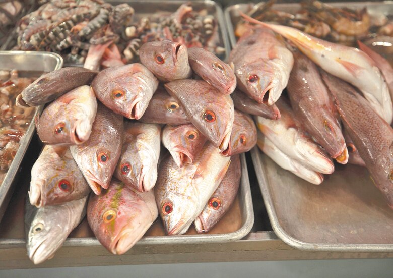 Pensamiento de pargo, retos y optimismo de mi Colón