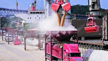 Arroz barato no llega al consumidor