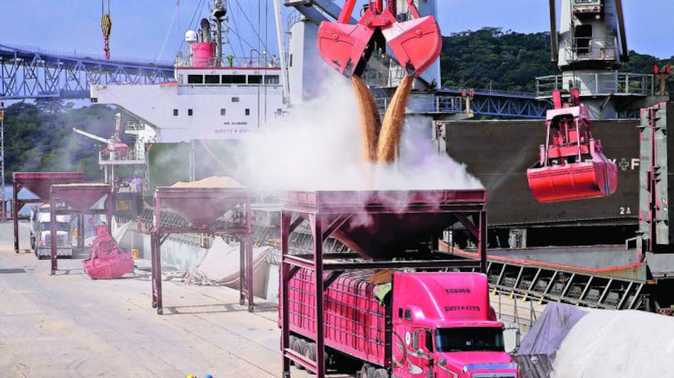 Arroz barato no llega al consumidor