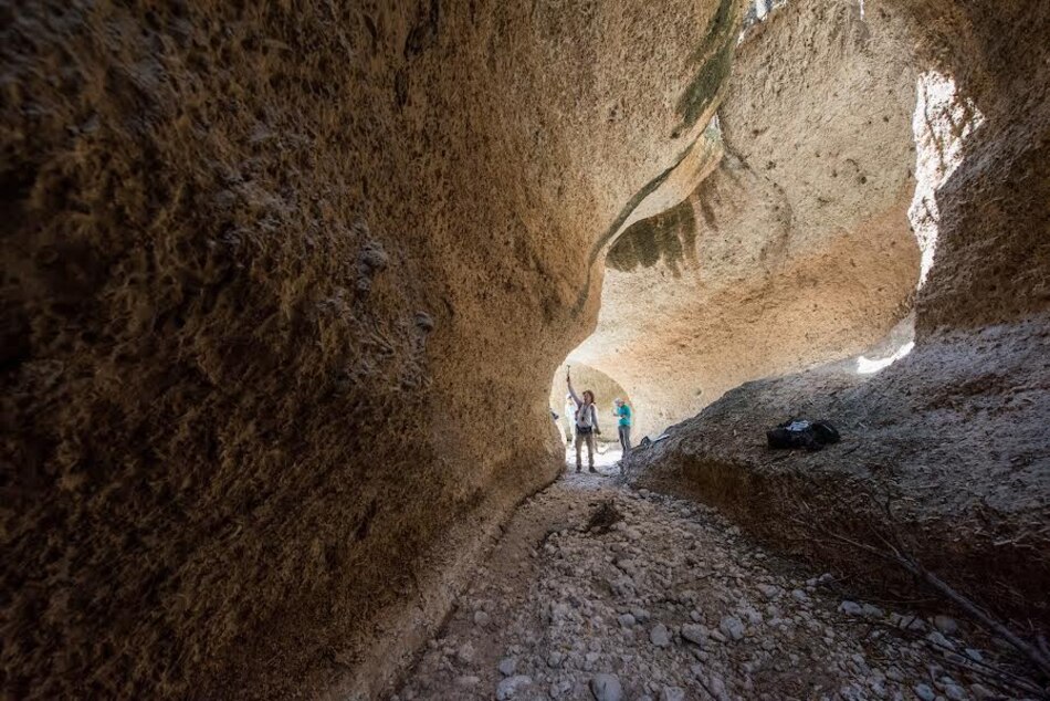Fósiles de 7,000 años revelan cómo la pesca humana alteró los arrecifes del Caribe