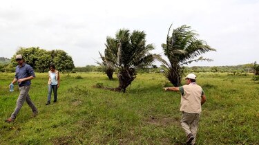 Tras las huellas del pasado en Chinina