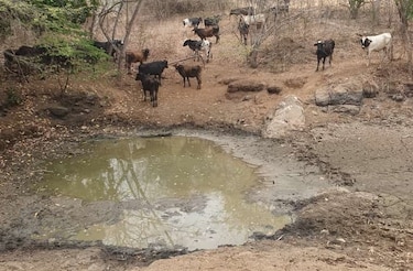 Piden que se declare estado de emergencia en el Arco Seco