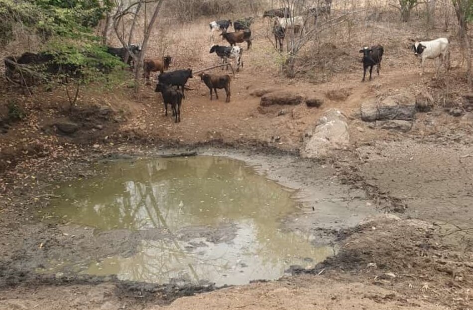 Piden que se declare estado de emergencia en el Arco Seco