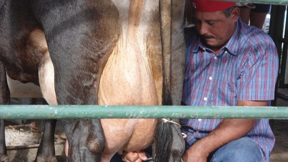 Lecheros piden al Gobierno revisar las leyes del sector agropecuario