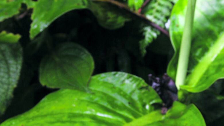 Desde lo alto del cerro