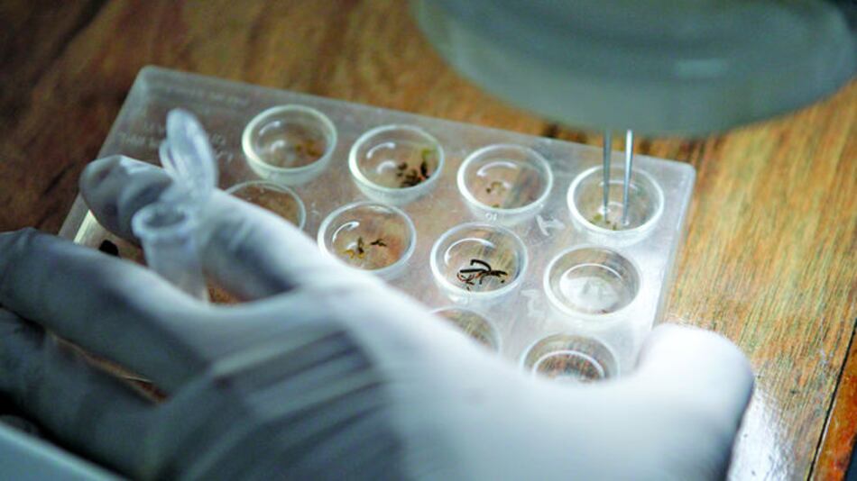 Agua, salud y diversidad