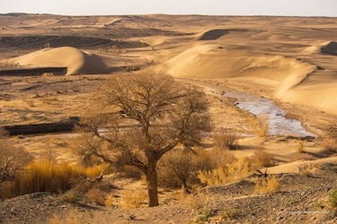 COP17, en busca de acuerdo sobre la sequía