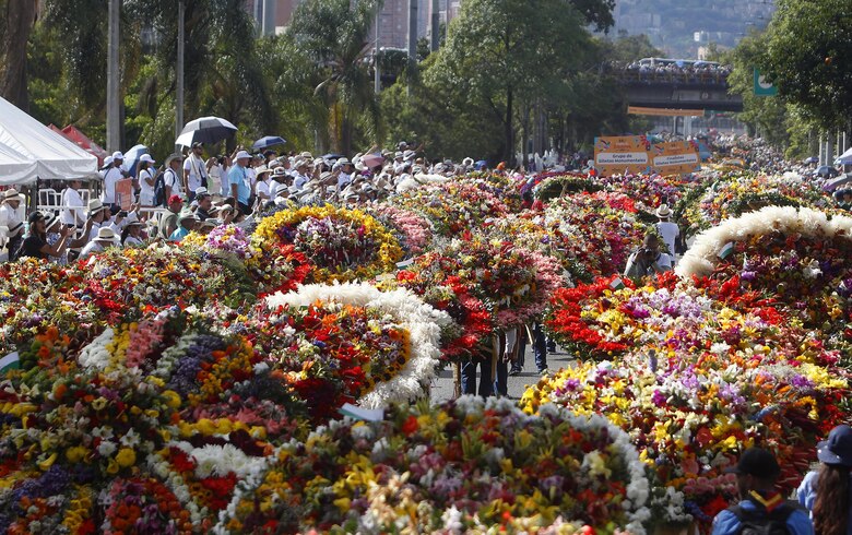 Silleteros convierten a Medellín en un jardín desfilando sus majestuosos arreglos florales