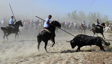 Castilla y León busca prohibir matanza de toros en festival