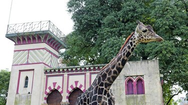 El futuro de un zoológico argentino