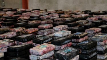 Autoridades han capturado a más de 13 mil personas en lo que va del año