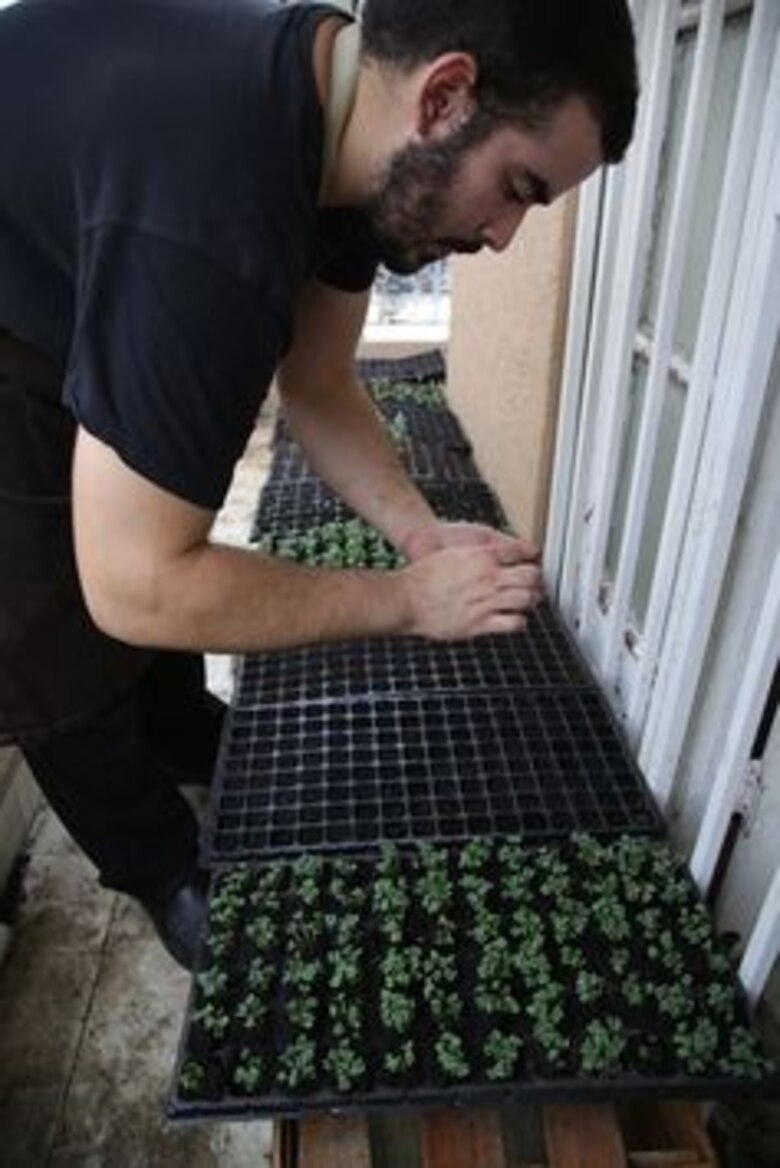 La cocción al vacío, la cocina de avanzada