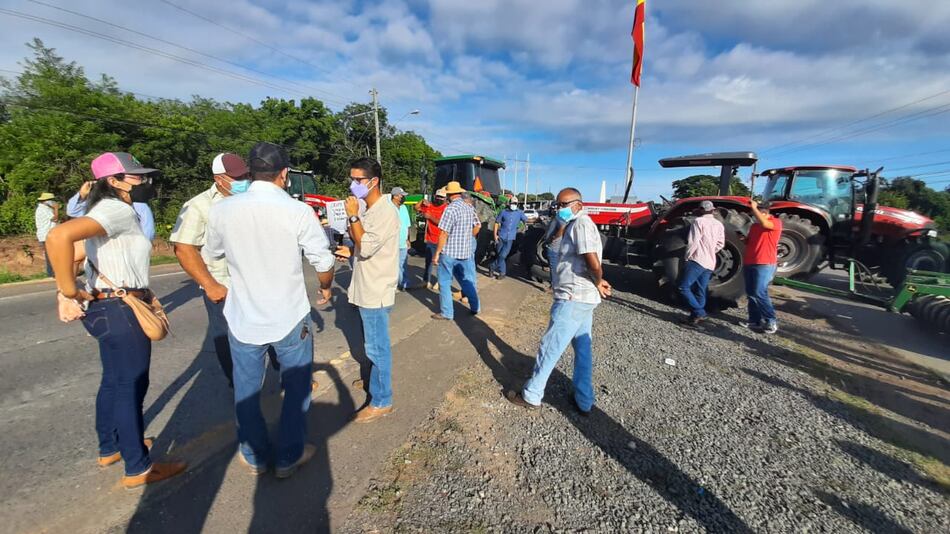 Maiceros en Los Santos reclaman el pago de subsidios