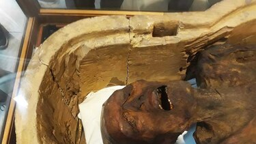 El Museo Egipcio de El Cairo exhibe una 'momia aulladora'