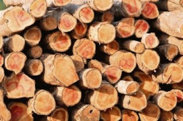 Madera confiscada suma unos $9 millones
