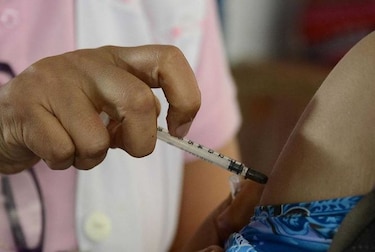 Un centenar de casos de fiebre amarilla en Brasil