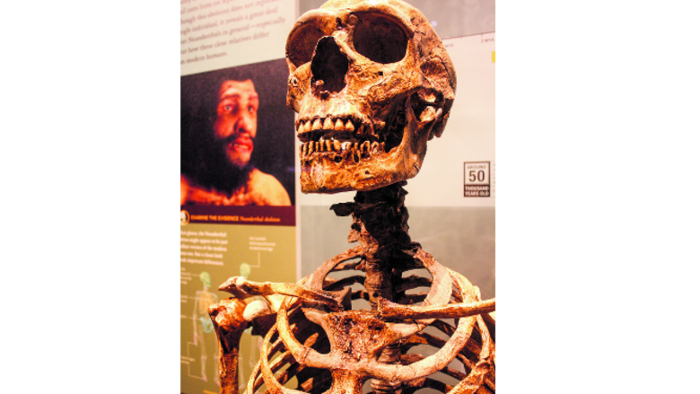 La esencia de la historia natural