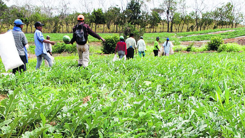 Piden agilizar el pago del CEFA