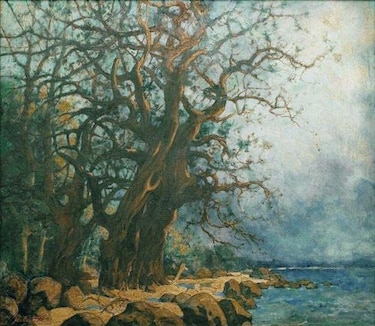 Los Tamarindos de Lewis