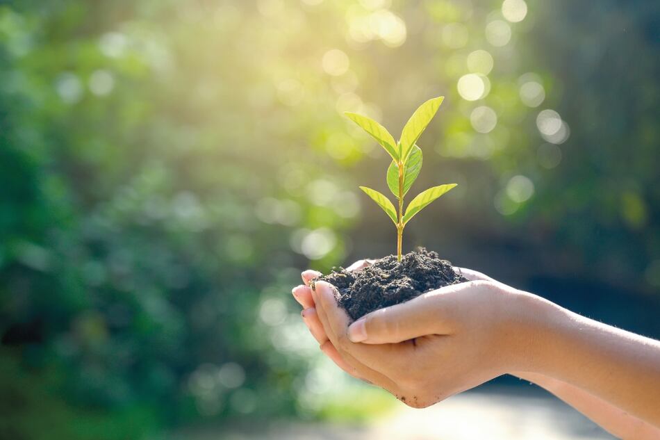 Los 50 años del Día de la Tierra