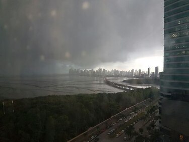 Varios árboles caídos por fuerte lluvia en Panamá