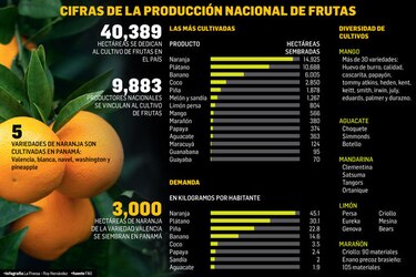 Cultivo de frutas, un negocio sin despegar