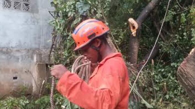Aguacero causa caída de árboles y afecta servicio eléctrico en el país