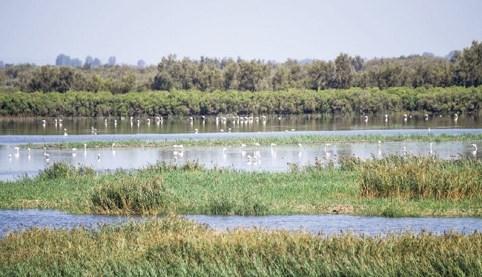 En pos del ‘eBioAtlas’