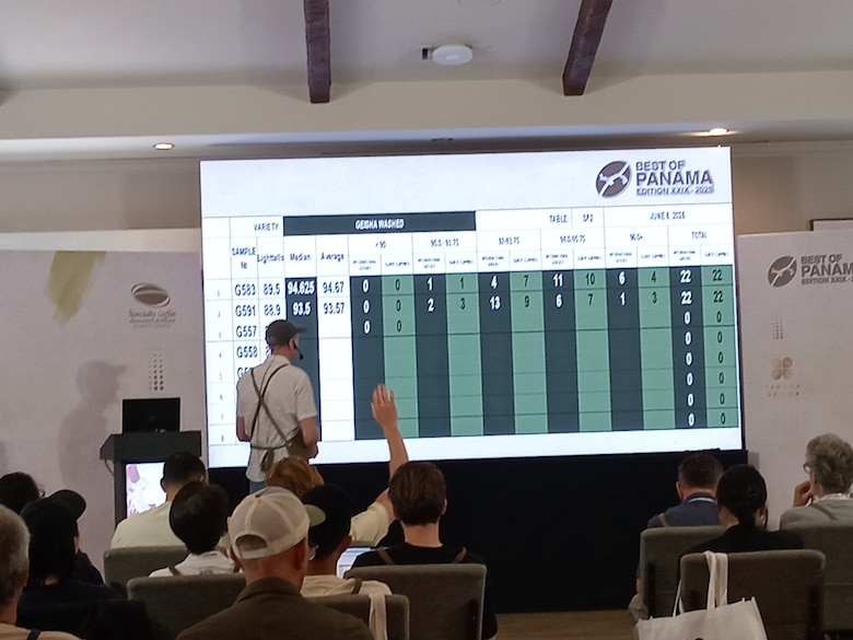 Café geisha panameño rompió récord al venderse en más de $30 mil por kilo