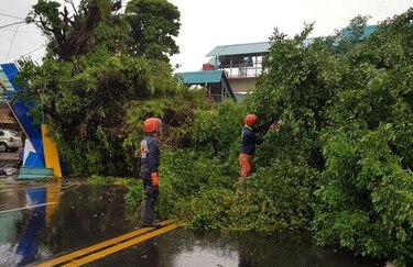 Un desaparecido, árboles caídos y viviendas afectadas por las lluvias