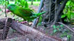 Riqueza natural e histórica