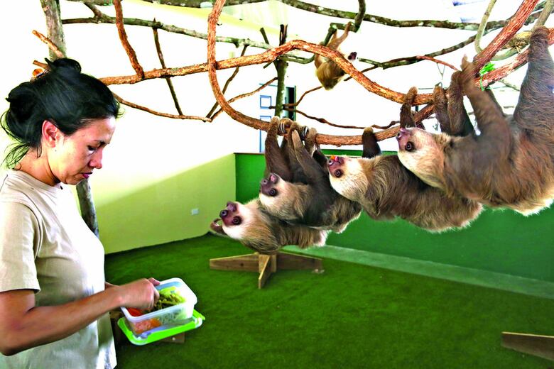 Un refugio para perezosos