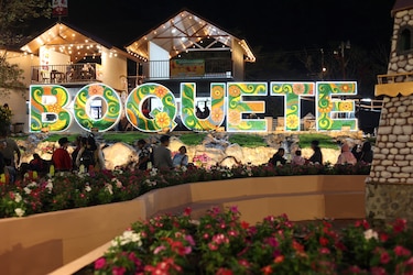 Ruta del Café en Boquete: 11 empresas interesadas en desarrollar el proyecto por 27 millones de dólares