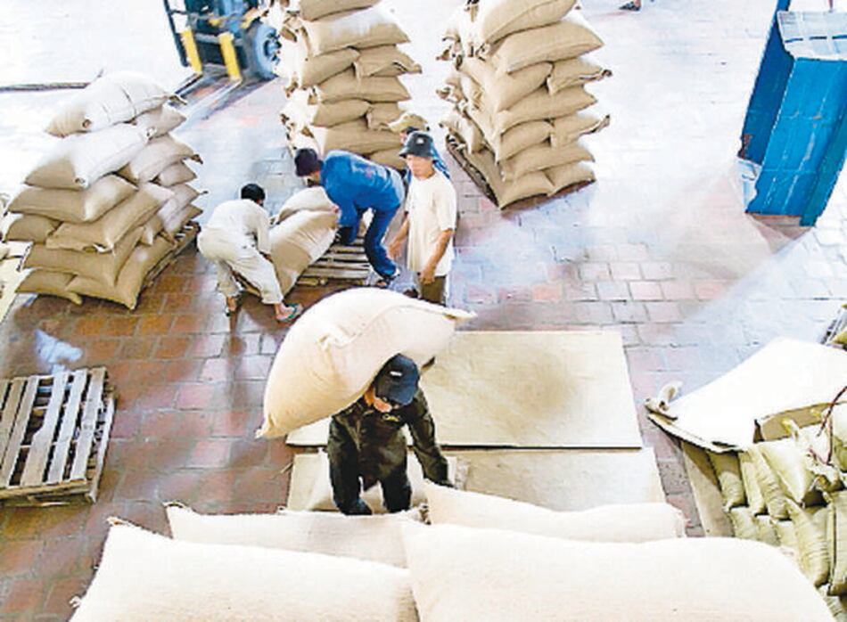 Costa Rica reporta caída en venta de café