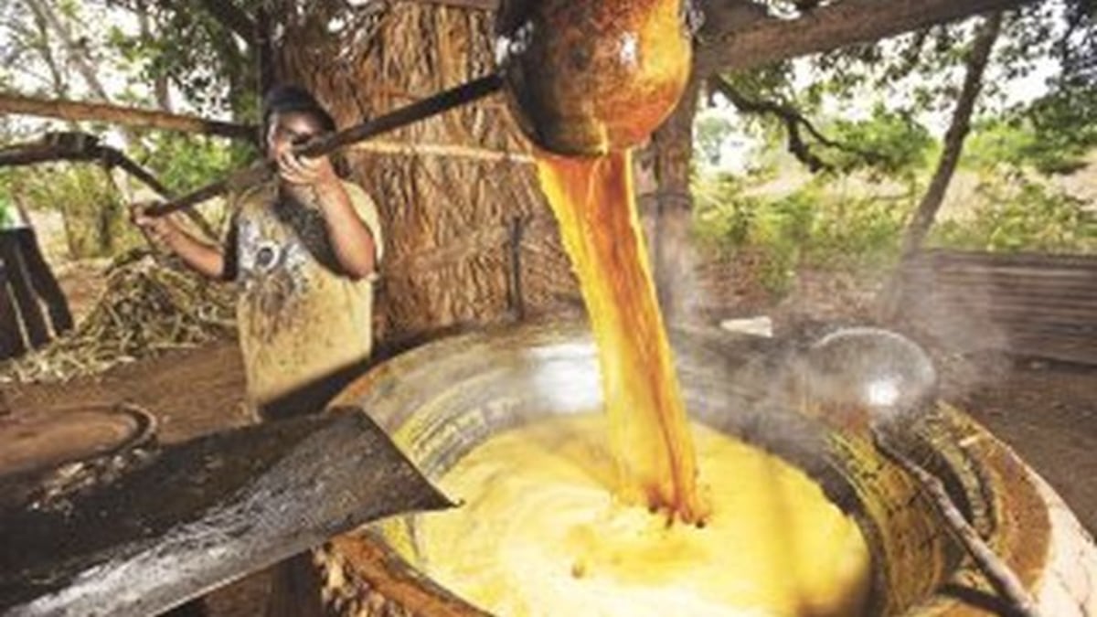 Luego de molida la tarea (cantidad de cañas), el guarapo es colocado en la paila. José Pérez coordina y ejecuta el trabajo.
