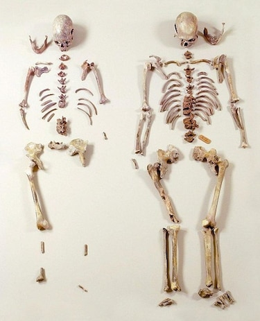 La aparición de la agricultura hizo más frágiles los huesos humanos