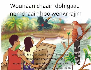 Durante su aventura, los niños wounaan vieron muchas aves