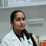 Tratar la malaria con energía y no con drogas, una meta ambiciosa