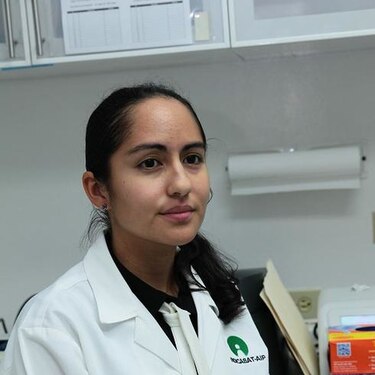 Tratar la malaria con energía y no con drogas, una meta ambiciosa