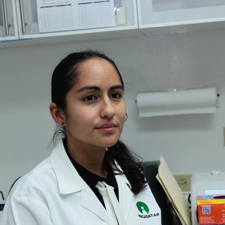 Tratar la malaria con energía y no con drogas, una meta ambiciosa