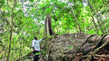 Selva ugandesa, el hogar del zika
