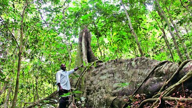 Selva ugandesa, el hogar del zika