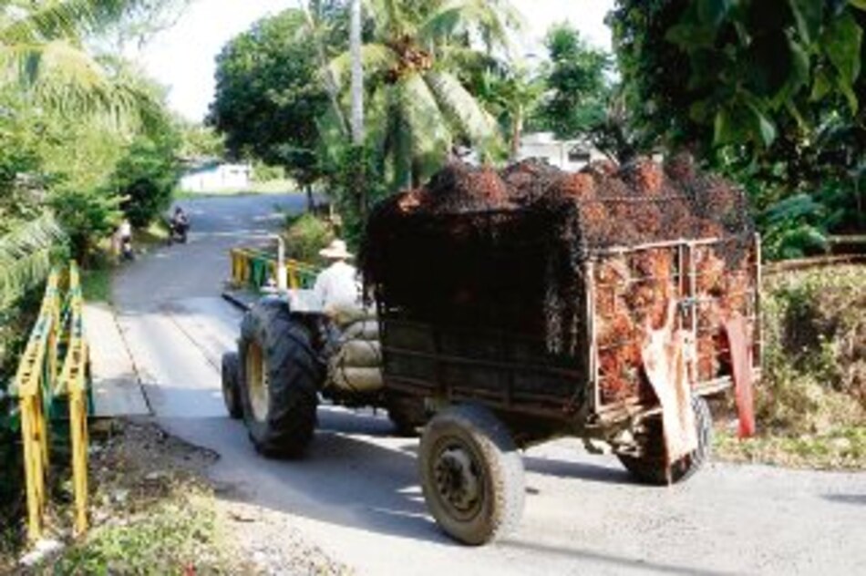 Extractora de aceite iniciará operaciones en diciembre