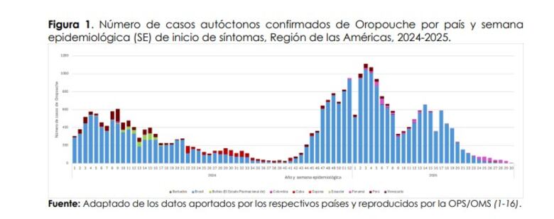 OPS alerta sobre aumento de casos de fiebre de oropouche: Panamá reporta 501 casos