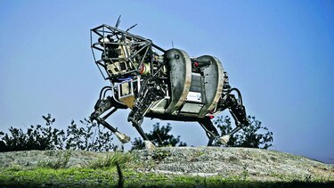 Robots: útiles, inteligentes y sensibles