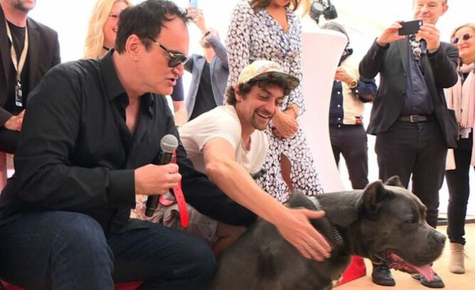 La perra Brandy, mejor intérprete canino