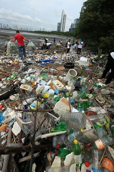 Plástico en los océanos: impacto a largo plazo