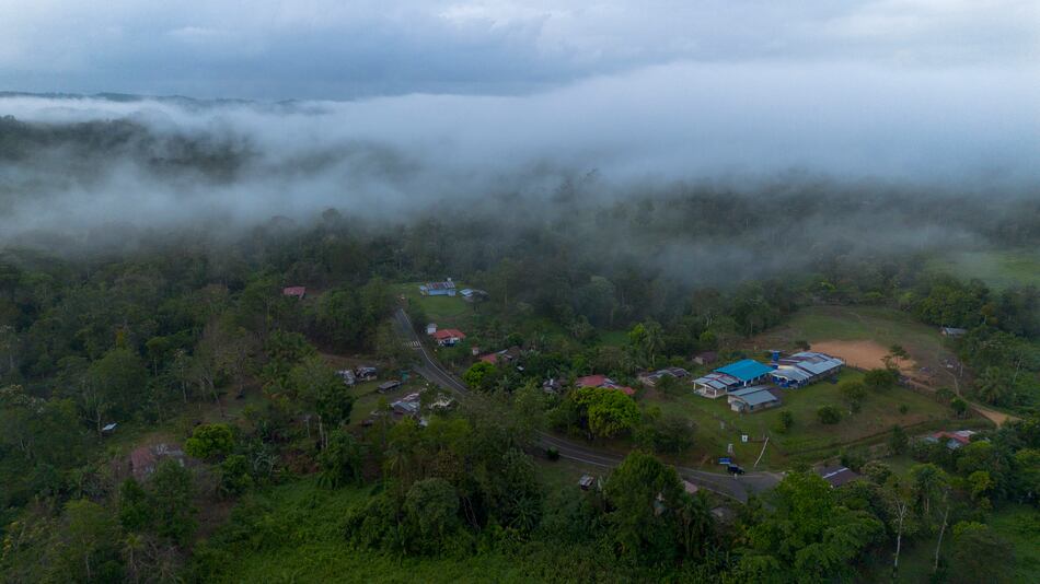 ¿Cuánto cuesta un palo de mango? El relato de un pueblo que se niega a desaparecer